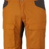 Lundhags Authentic II Ms Shorts
