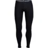 Icebreaker M 260 Tech Leggings