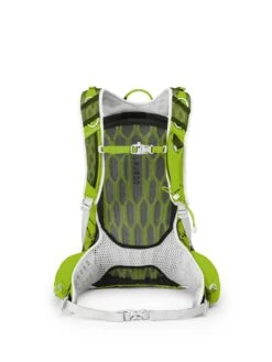 Osprey Talon 22 -Wild Pack Pro Verkaufsgeschäft Talon 22 S17 Back Spring Green web 1280x1280