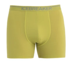 Icebreaker M Anatomica Boxers