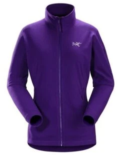 Arcteryx Delta LT Jacket Women's