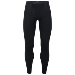 Icebreaker M 200 Oasis Leggings WFly