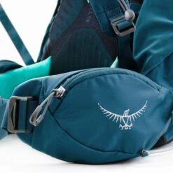 Osprey Kyte 36 5 Osprey Kyte 36 -Wild Pack Pro Verkaufsgeschäft kyte twin zippered hipbelt pockets 1280x1280