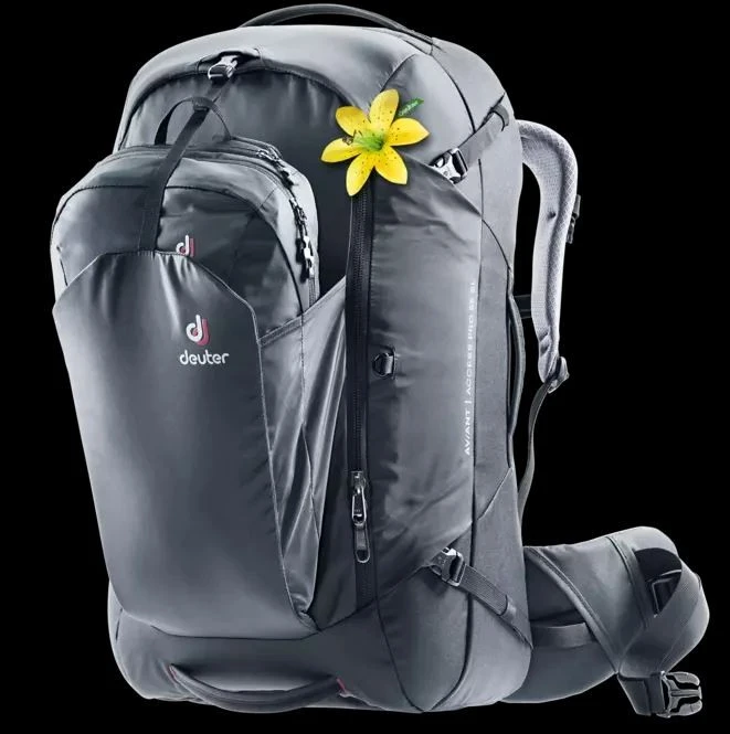Deuter AViANT Access Pro 55 SL 1 Deuter AViANT Access Pro 55 SL