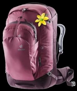 Wild Pack Pro Verkaufsgeschäft 6 Deuter AViANT Access Pro 65 SL