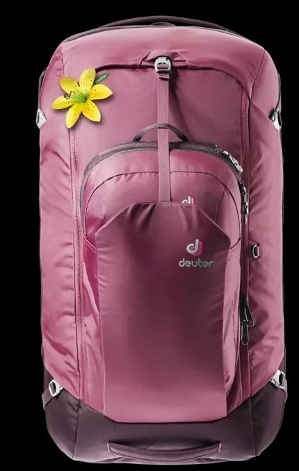 Deuter AViANT Access Pro 65 SL 4 Deuter AViANT Access Pro 65 SL – Bild 4